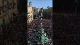 The tallest human tower 😅😅