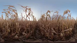 فيديو بزاوية 360°.     360 Scarecrow | VR 4K Horror Experience