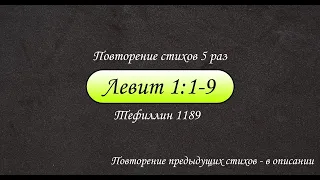 Тефиллин. Левит 1:1-9. Повторение стихов 5 раз