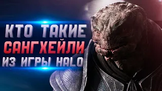 Кто такие Сангхейли (Элиты) из игры Halo | Лор Halo