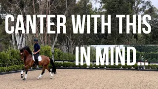 CANTER YOUR HORSE FROM THE SEAT!