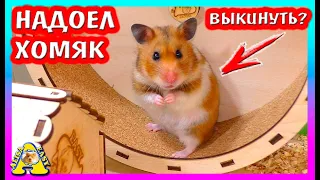 НАДОЕЛ ХОМЯК - что ДЕЛАТЬ? / Сирийских Хомяк СТРЕЛКА / ПОДАРОК Хомки / Alisa Easy Pets