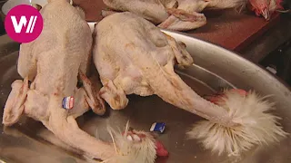 Zu Tisch in der Bresse - Französisches Huhn mit Nationalfarben