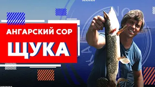 Щука в Ангарском соре. Окунь на рожнах | Рыбалка на Северном Байкале | Nord Baikal