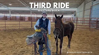 Audrey getting her third ride on her two year old #horse #ranch #cowgirl