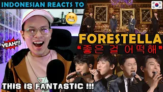 Forestella - "좋은 걸 어떡해" (Immortal Songs 2) REACTION | "The kings of singing many genres!"