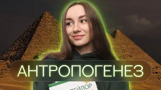 Антропогенез | Катя Грицай | Биология ЕГЭ