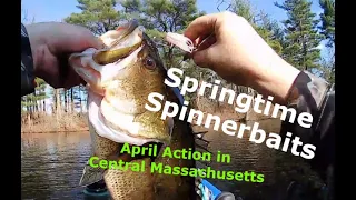 Springtime Spinnerbaits: Action In Central Mass!