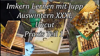 Praxis Teil 1 Auswinter der Bienen Praxis Teil 1 Imkern wie der Jupp.