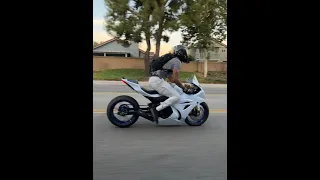 THIS SOUND NEVER GETS OLD ! Suzuki GSXR 1000R 🔥