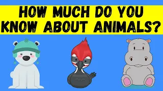 Animal Trivia Questions With Answers - Let's Test Your Knowledge
