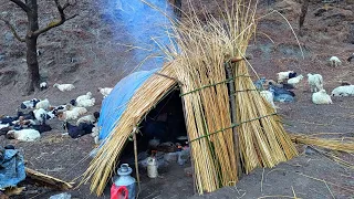 Himalayan Sheep Shepherd Life in Winter |Shepherd Food Cooking & Eating | Peaceful Himalayan Life |