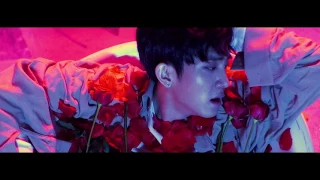 The Rose 'Sorry' MV