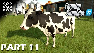 Jak krmit krávy #11| Farming Simulator 22 | Lets play | Česky