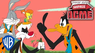 Sorprese ACME | I Looney Tunes nel mondo dei Flintstones! | @WBKidsItaliano