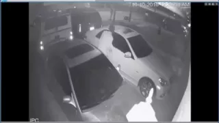Pasco auto burglary