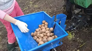 посадка картофеля минитрактором и картофелесажалкой