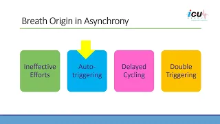 Breath Origin in Asynchrony on Mechanical Ventilation