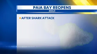 Beaches reopen after woman bitten by shark on Maui's North Shore