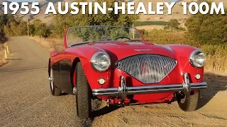 On the Road: 1955 Austin Healey 100M