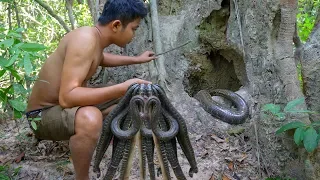 Primitive Technology Catching and Cooking A lot of Snake in the Forest