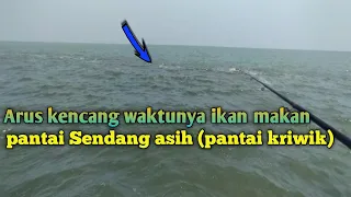 Mancing ikan barramundi kakap putih !!!! Arus kencang waktunya ikan makan