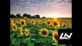 Vincent De Moor - Sunflowers (London & Niko Unofficial Remix)