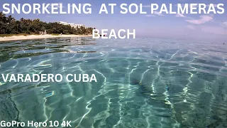 Snorkeling At SOL PALMERAS Beach, VARADERO CUBA, GoPro Hero 10 4K