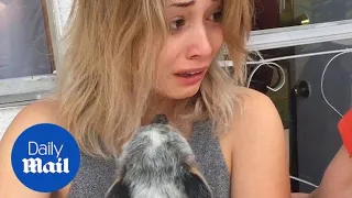 'World's best boyfriend' surprises girlfriend with puppy - Daily Mail