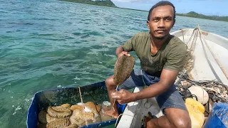 The Village Entrepreneur: The Sea Cucumber Business🇫🇯
