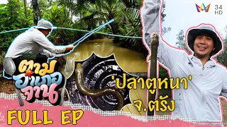 ตามหาวัตถุดิบแปลก 'ปลาตูหนา' จ.ตรัง | ตามอำเภอจาน | 1 ต.ค.65 Full EP