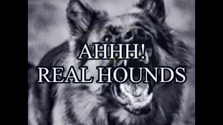 MGM Cartoon: Droopy Dog: AHHH! Real Hounds (1939) (Opening/Closing) (For Shelvy Ritter)