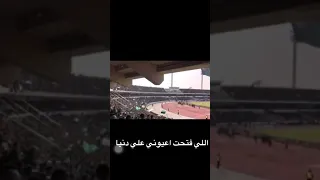 قراندي ستوريا للجمهور من تصميمي