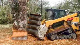 Incredible Giant Tree Mulcher Wood Shredder Equipment Working, Dangerous Big Wood Crusher Chipper