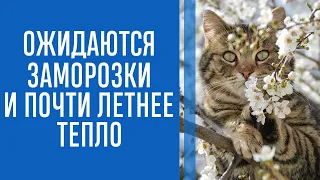 До +24°, ливни, грозы и смерчи: народный синоптик удивил украинцев прогнозом на весну