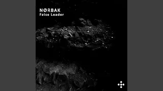 False Leader (Original Mix)