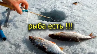 Несколько дней из жизни на реке Урал ! Рыба есть !!!