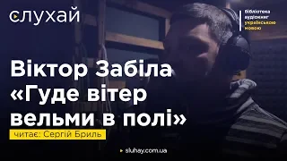 Віктор Забіла «Гуде вітер вельми в полі» | Читає Сергій Бриль | Слухай