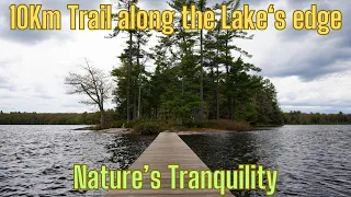 Hardy Lake Provincial Park 10Km Trail | Island Lake Bench | Muskoka Lakes | Canada | Silent Vlog