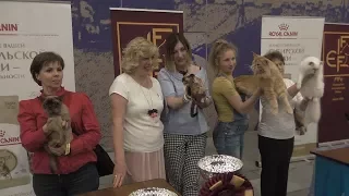 ZooSHOW 2017 White Nights. BEST IN SHOW. 2017-06-24