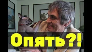 Бари Алибасов снова потерял кота? Что случилось?