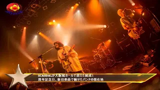 SCANDALが大阪城ホールで迎えた結成1周年記念日、新旧楽曲で魅せたバンドの現在地