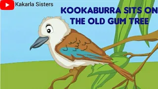 Kookaburra Sits On the Old Gum Tree Rhyme |Nursery Rhymes |Action Songs/Rhymes |Pre Primary Rhymes |