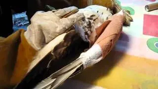 Bandaging a hawk's wing