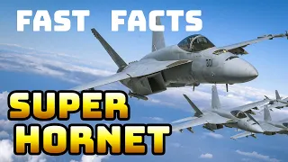 Super Hornet Fast Facts #Shorts