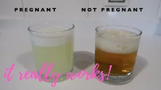Homemade pregnancy test using urine and bleach - it really works!!!