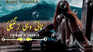 talai wahi zangigi pashto new song (slowed + Reverb)