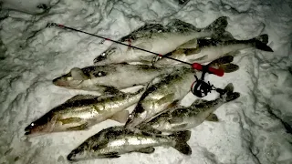 Волга МОЖЕТ! Зимняя рыбалка НА СУДАКА с эхолотом ПРАКТИК