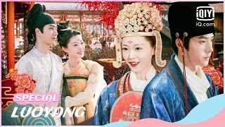 🔎The FULL recap of the Bailiu couple's love after marriage | LUOYANG Special | iQiyi Romance