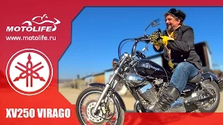 YAMAHA XV250 VIRAGO